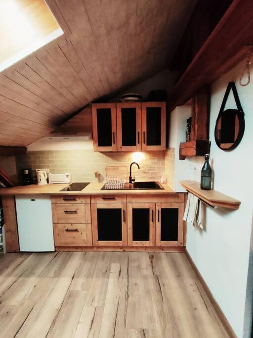 Appartement Cosy 3/4 Personnes A 5 Min Des Pistes. แซงต์-ฌ็อง-โดลป์ ภายนอก รูปภาพ