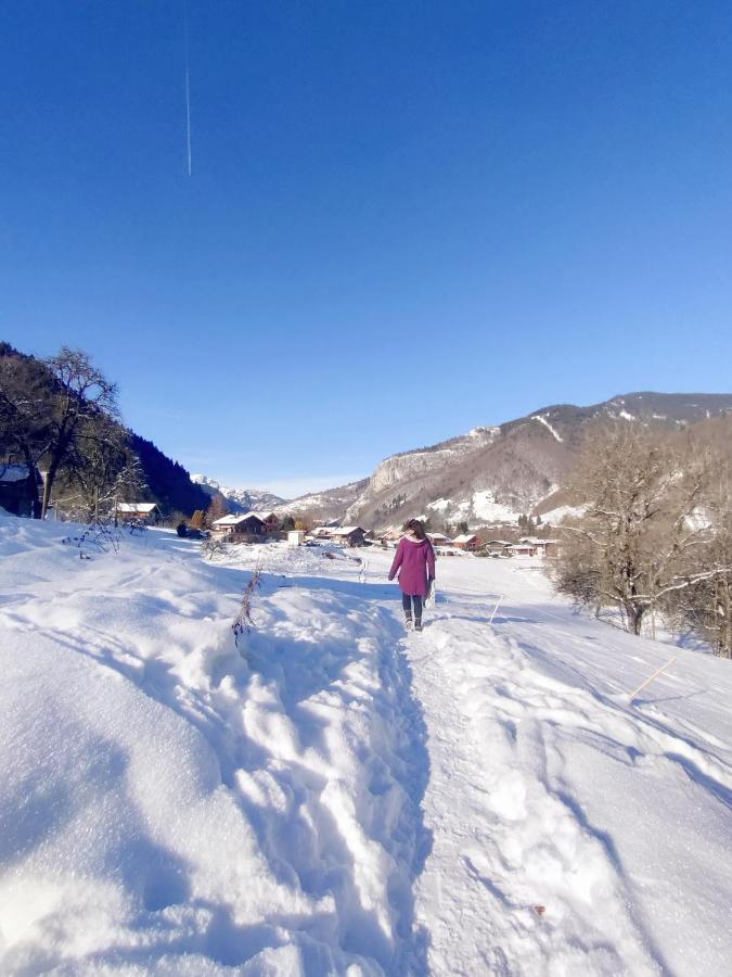 Appartement Cosy 3/4 Personnes A 5 Min Des Pistes. แซงต์-ฌ็อง-โดลป์ ภายนอก รูปภาพ